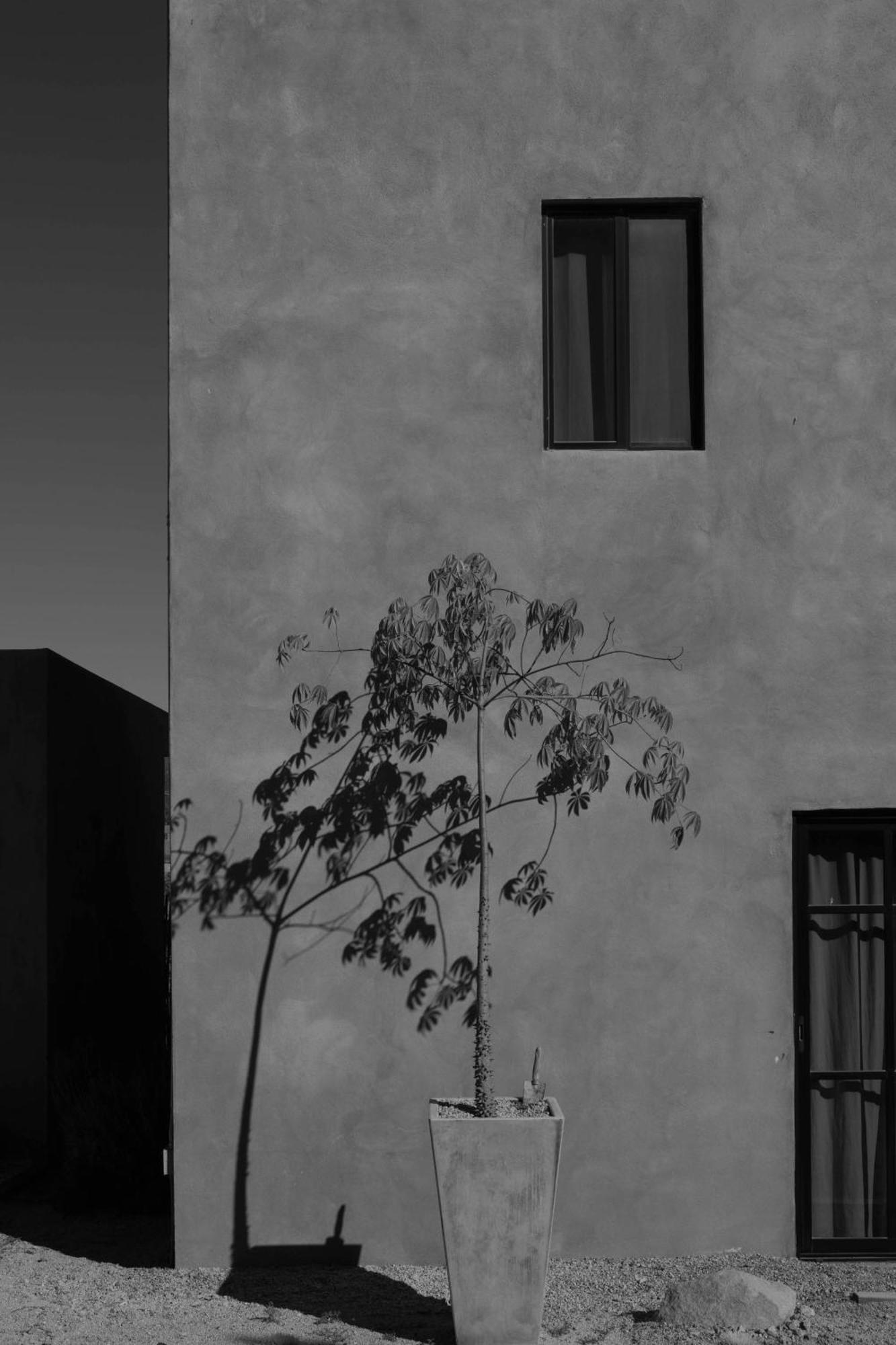 Casa Michaus Valle De Guadalupe Exteriér fotografie