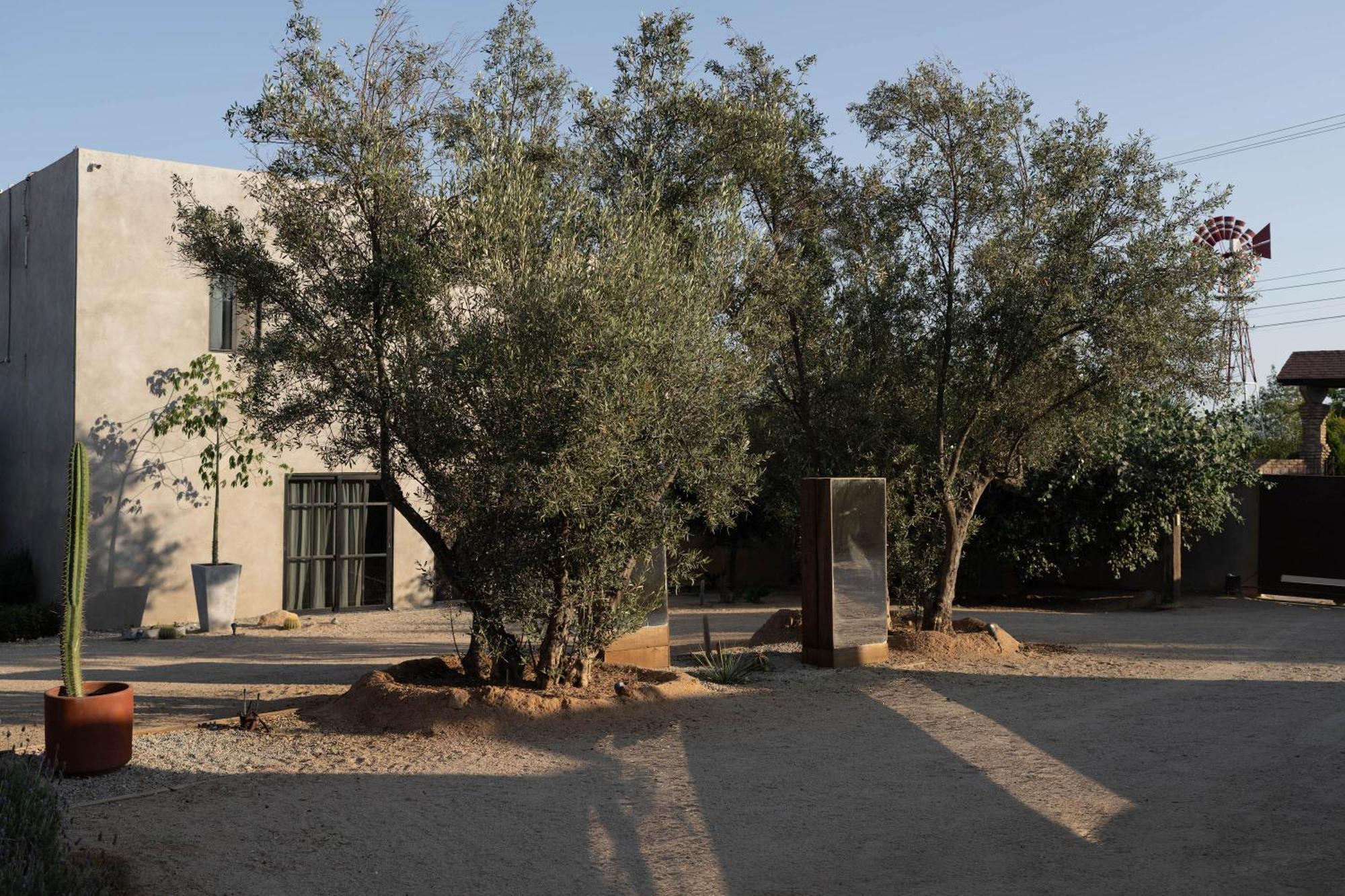 Casa Michaus Valle De Guadalupe Exteriér fotografie